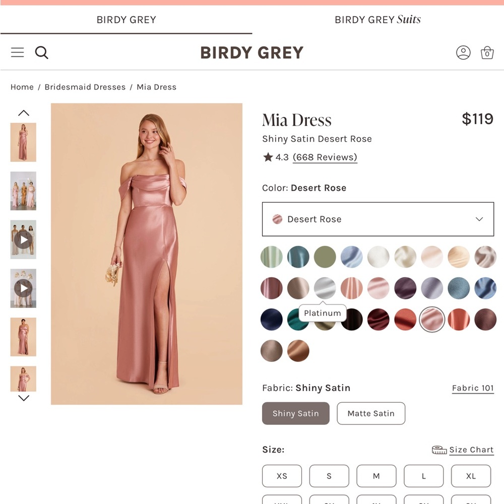 Birdy Grey Mia Shiny Satin Dress in Desert Rose
